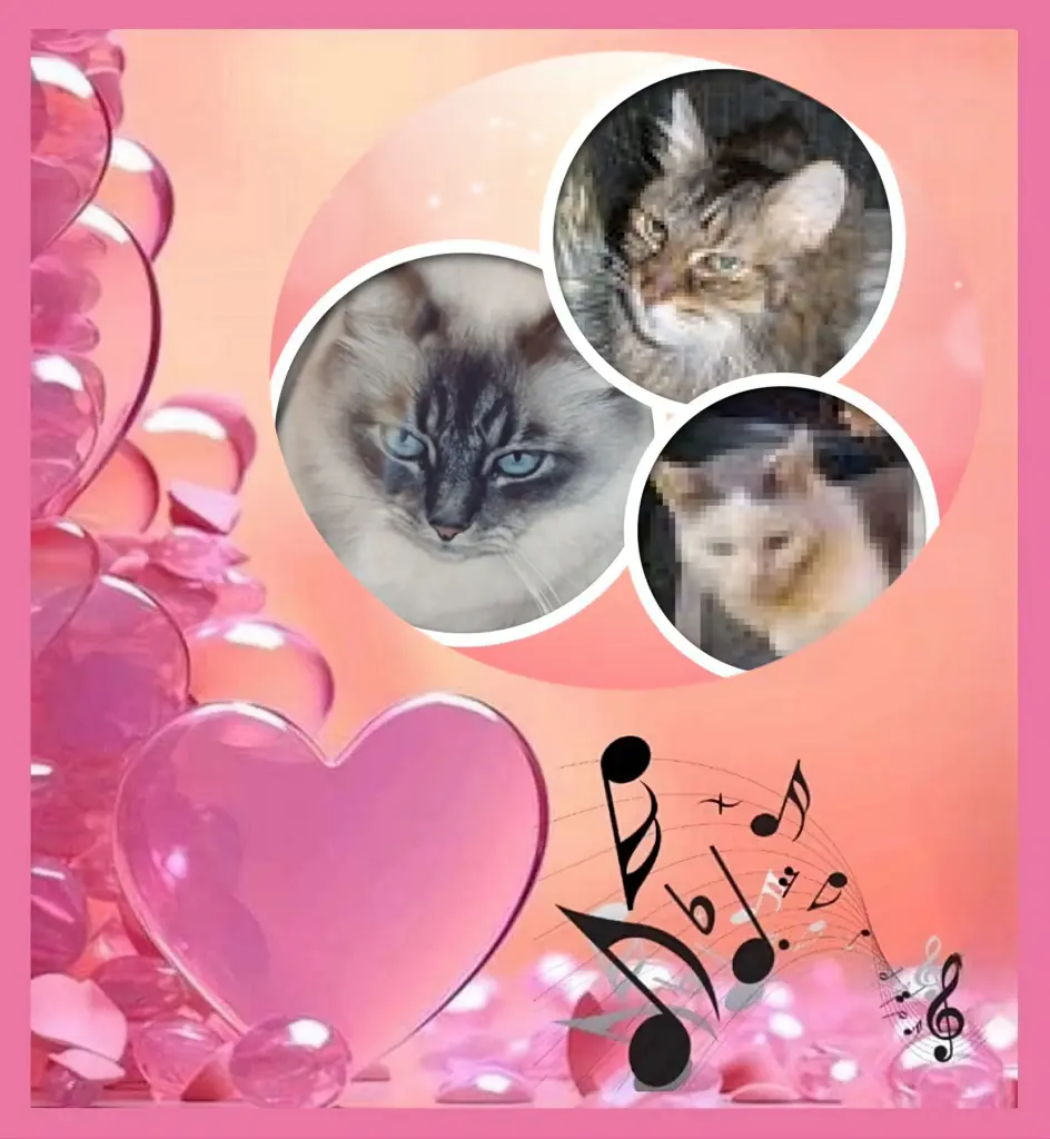 Condolence image of Rossenchen❤️❤️❤️❤️❤️❤️❤️fur Pummelchen❤️⭐️