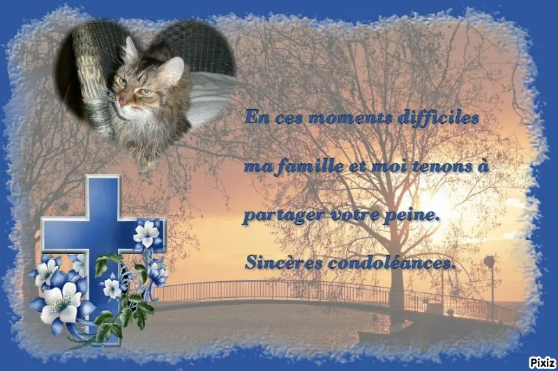 Condolence image of Tanja mit Timmy im Herzen 