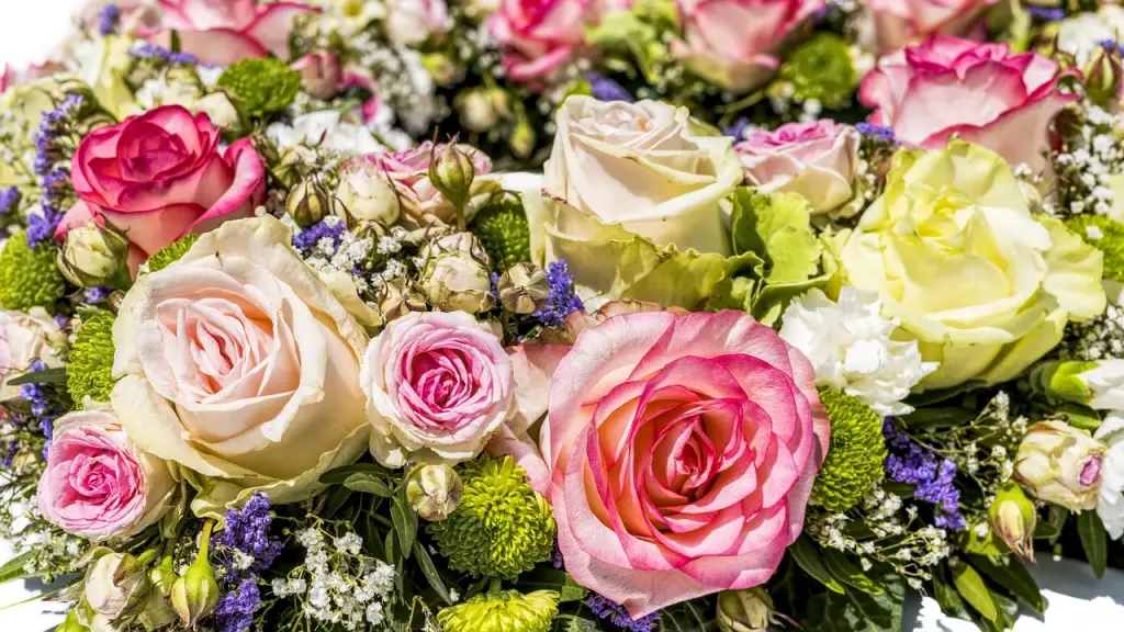 Condolence image of Anja mit Maja & Gräuli im ༺❤️༻