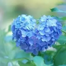 Condolence image of Anja mit Maja & Gräuli im  ༺❤️༻