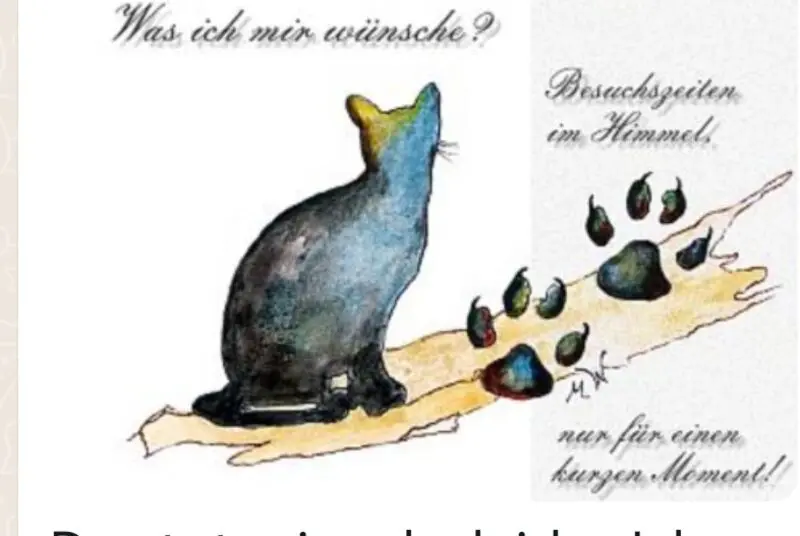 Condolence image of Corinna mit Emma, Vinni-Ved, Jengi, Blacky, Pummelchen und anderen Sternleine im Herzen