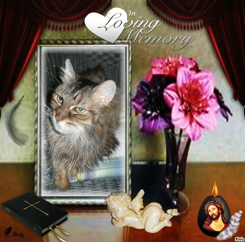 Condolence image of Tanja mit Timmy im Herzen