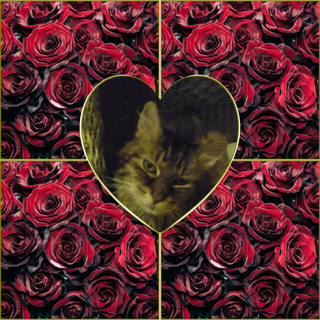 Condolence image of Mama ❤️