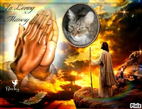 Condolence image of Tanja mit Timmy im Herzen