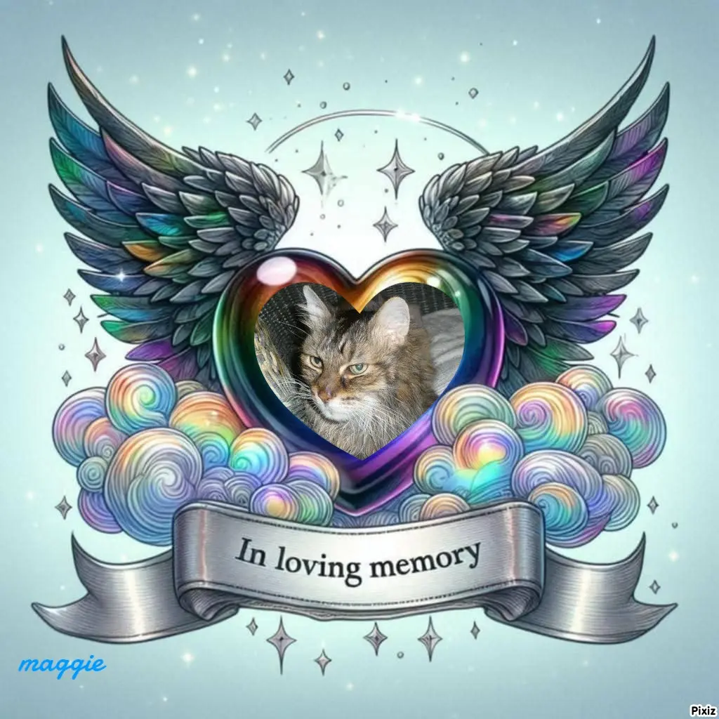 Condolence image of Tanja mit Timmy im Herzen