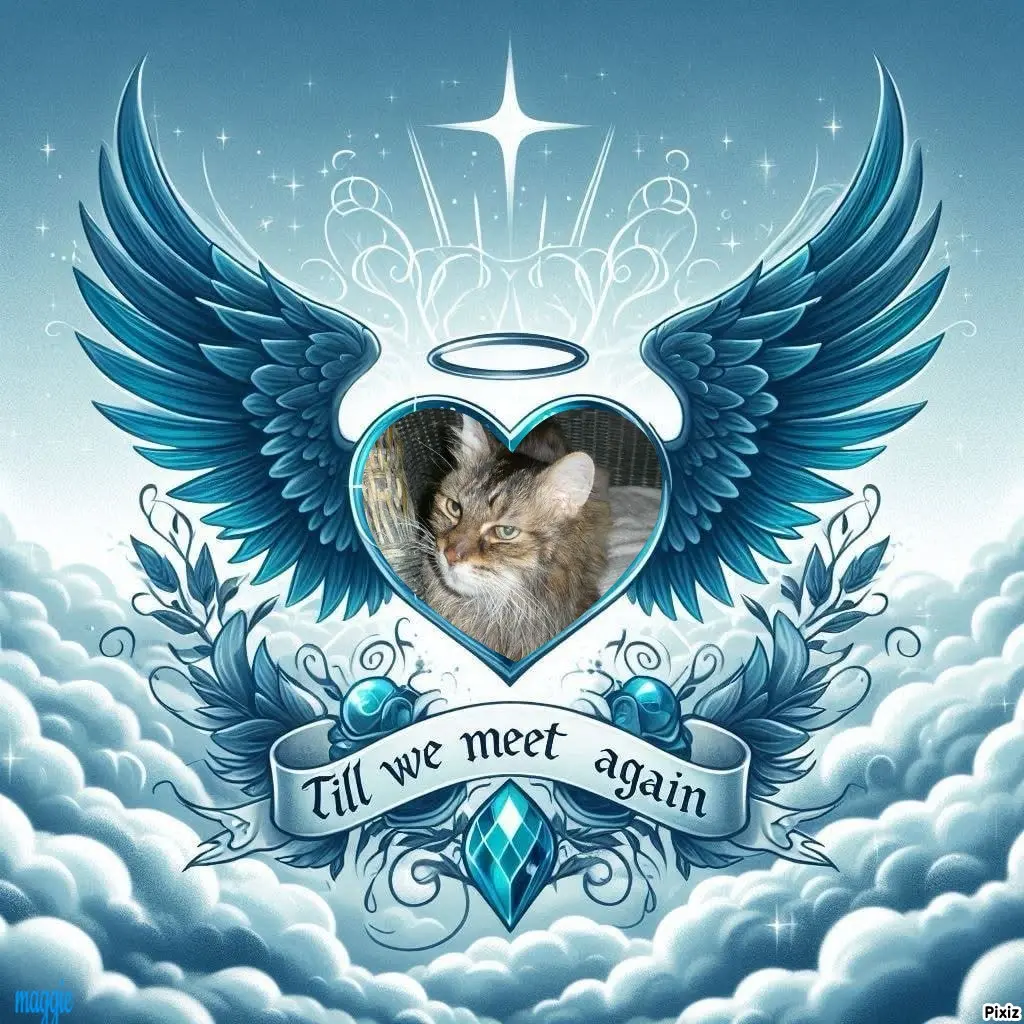 Condolence image of Tanja mit Timmy im Herzen