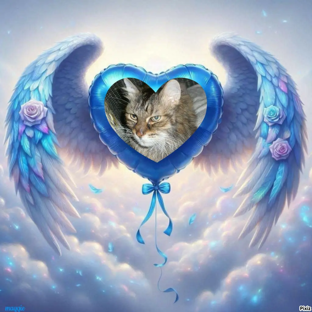 Condolence image of Tanja mit Timmy im Herzen 