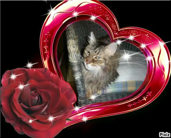Condolence image of Tanja mit Timmy im 💘