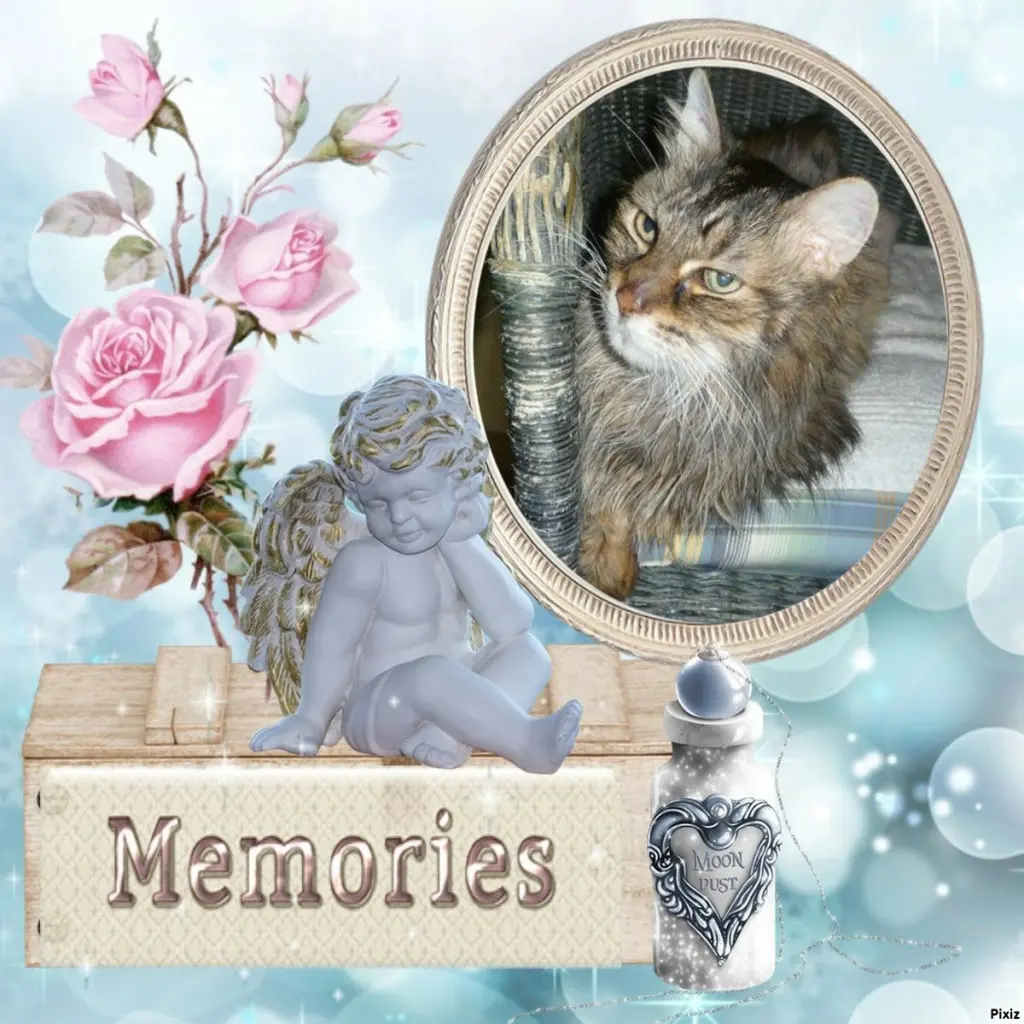 Condolence image of Tanja mit Timmy im 💖🐈🐾