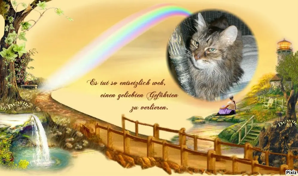 Condolence image of Tanja mit Timmy im 💖🐈🐾
