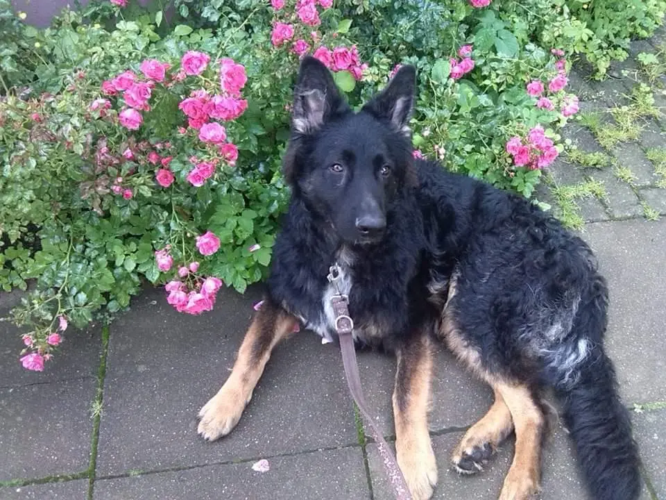 Condolence image of Klaudia