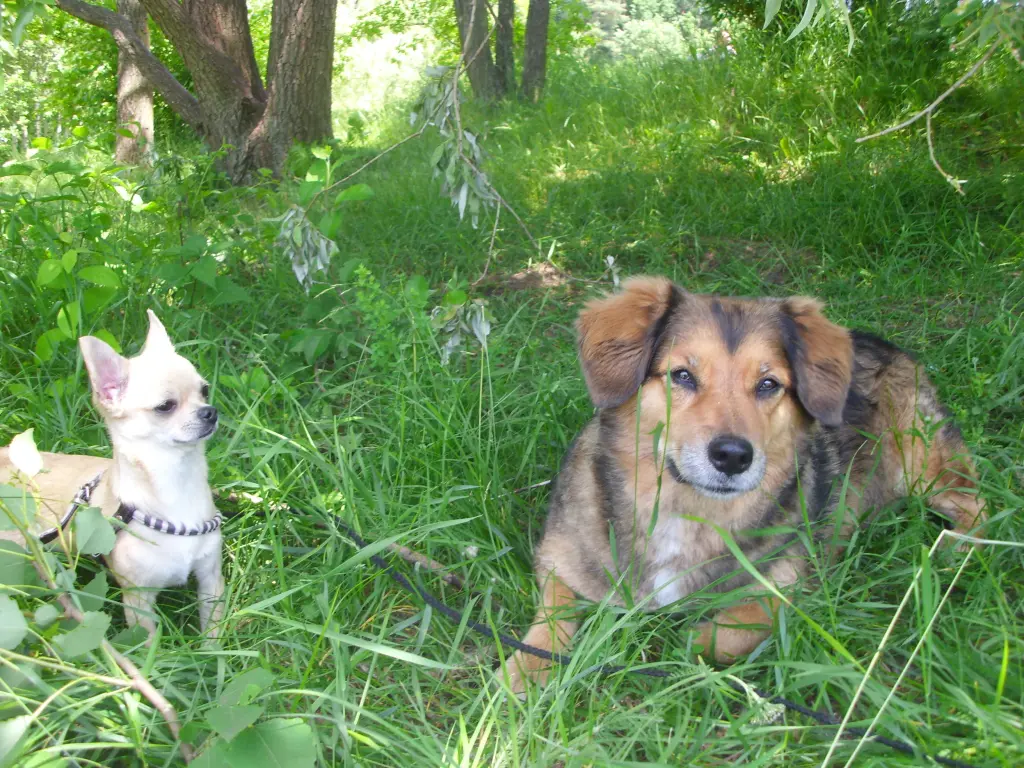 Condolence image of Minnie und Sabine