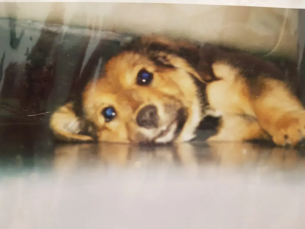 Condolence image of Kerstin