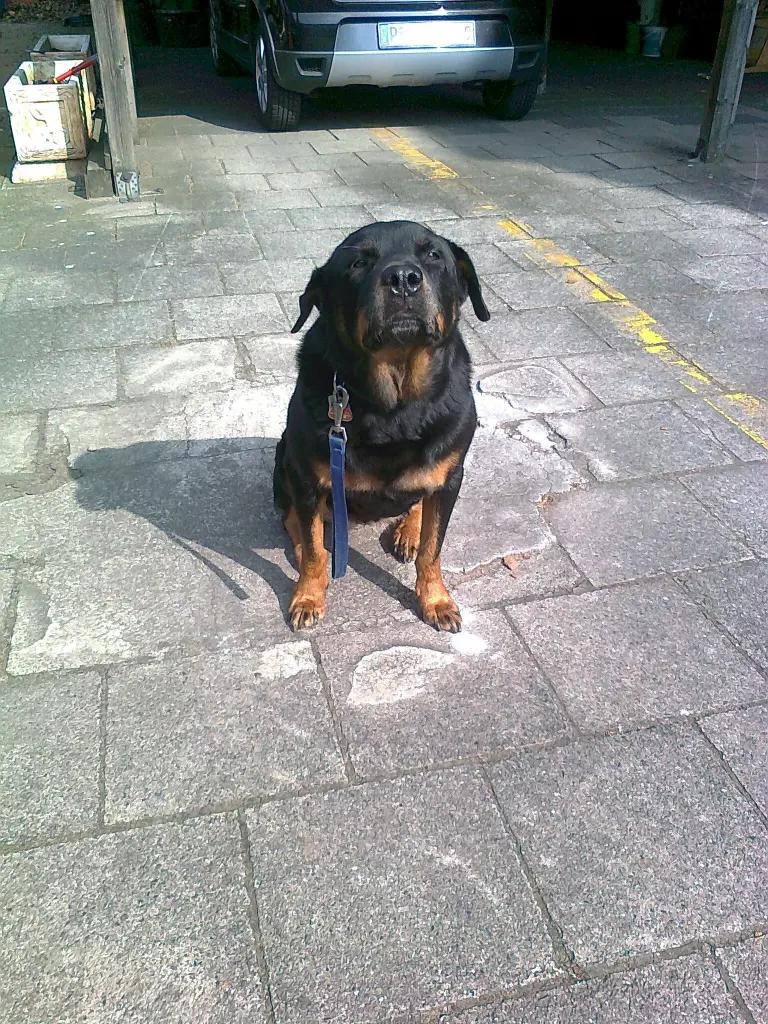 Image from Inka