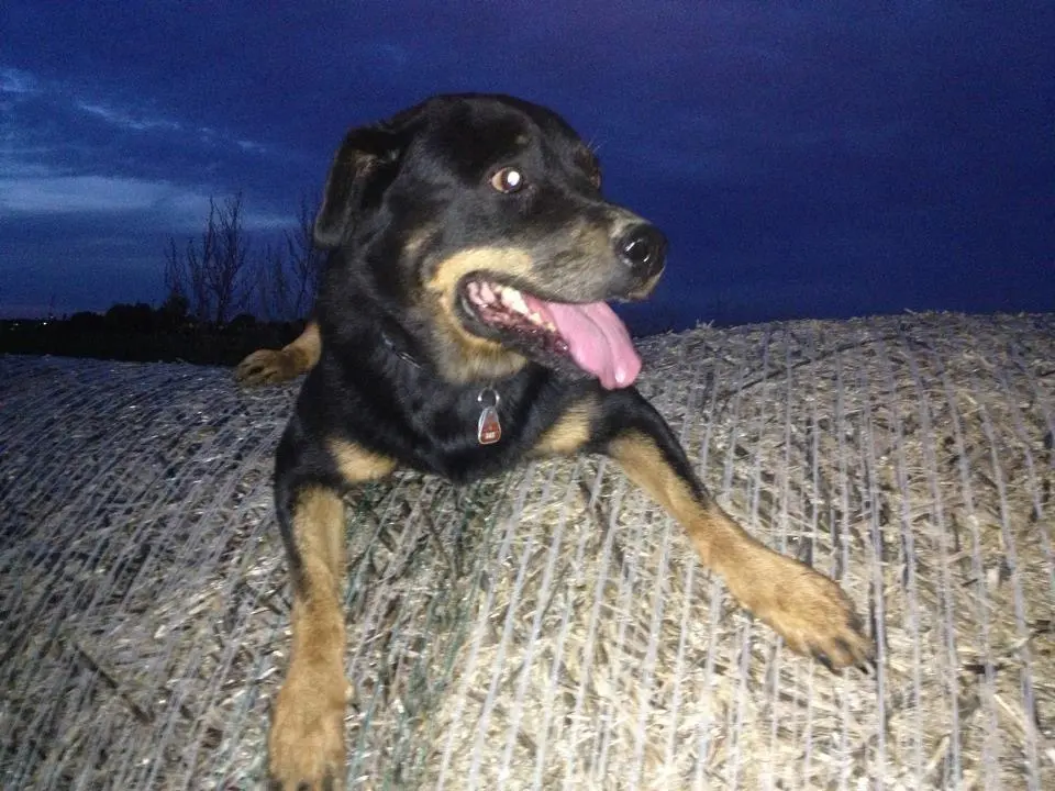 Image from Inka