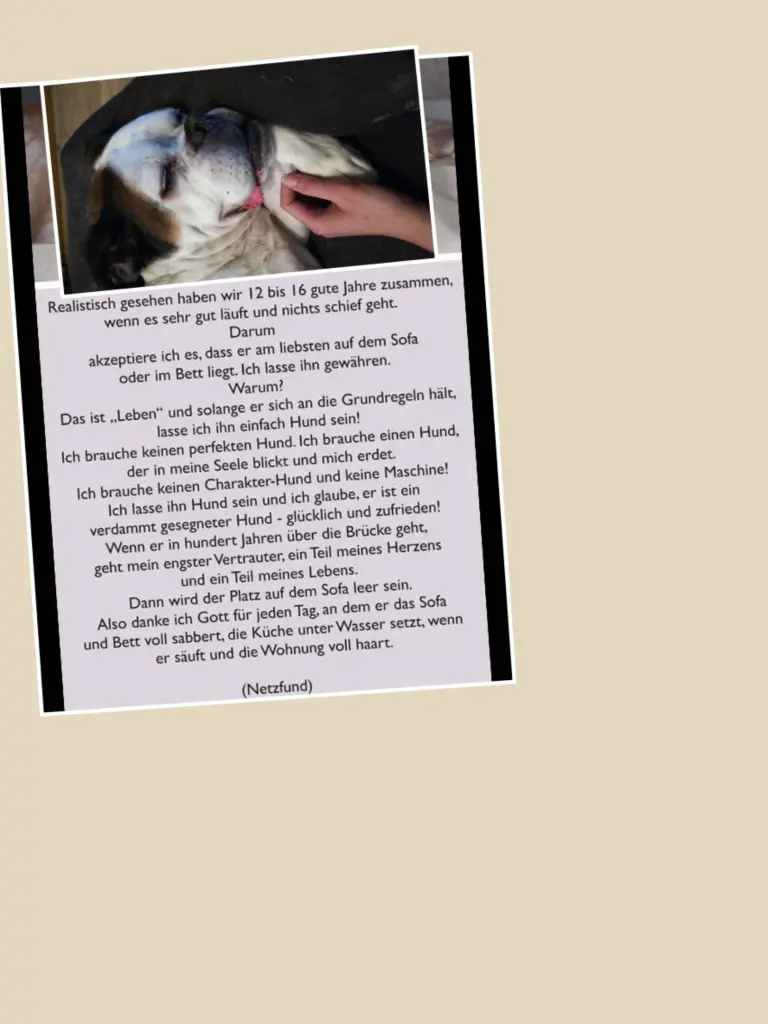 Condolence image of Tatjana