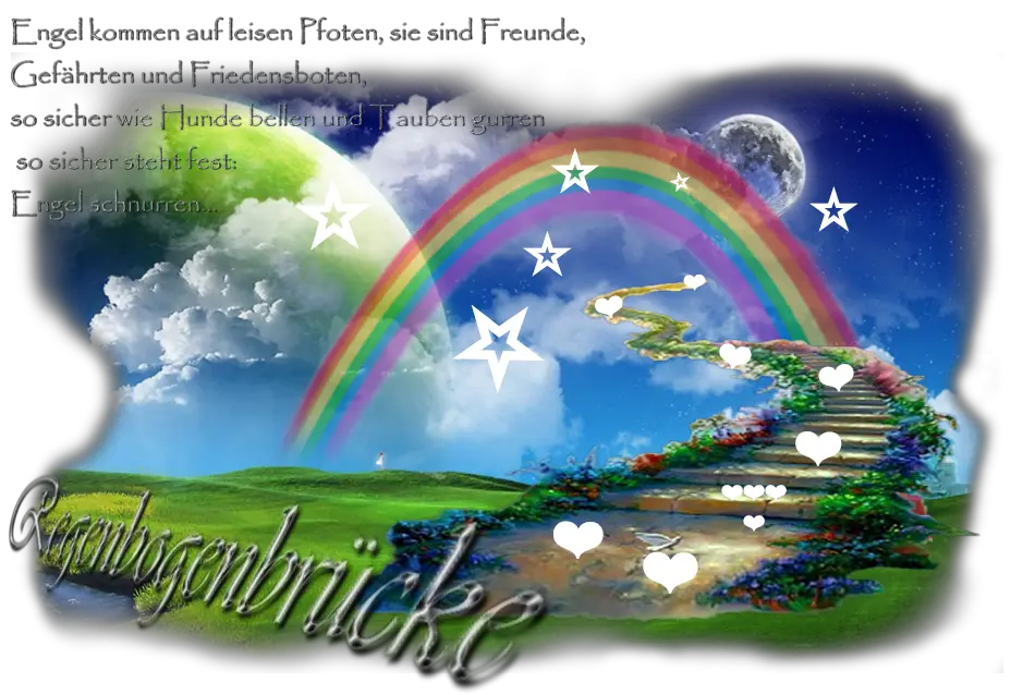 Condolence image of Unbekannt