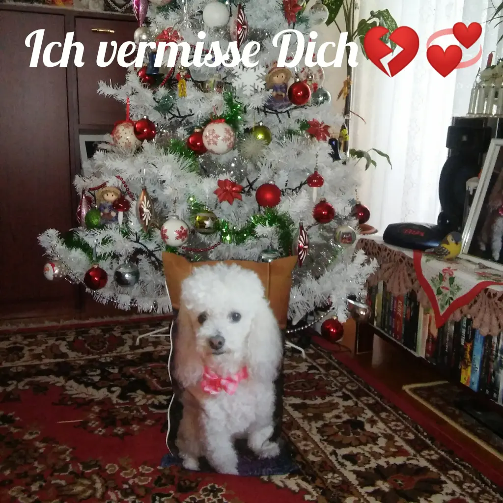 Condolence image of Angela