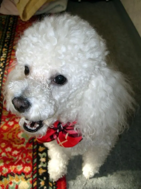 Condolence image of Angela