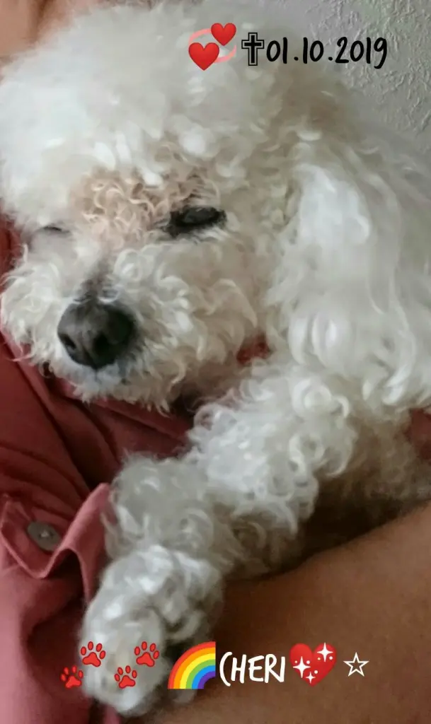 Condolence image of Angela