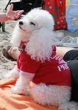 Condolence image of Angela für meine kleine Mädchen CHERI ❤✨☁