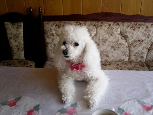 Condolence image of Für DICH❤CHERI