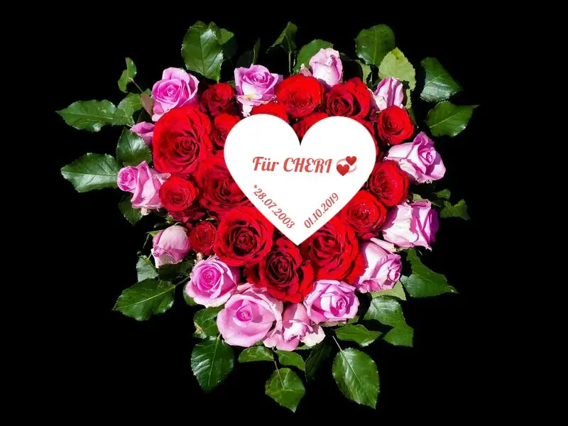 Condolence image of Angela für meine kleine Mädchen CHERI ❤✨