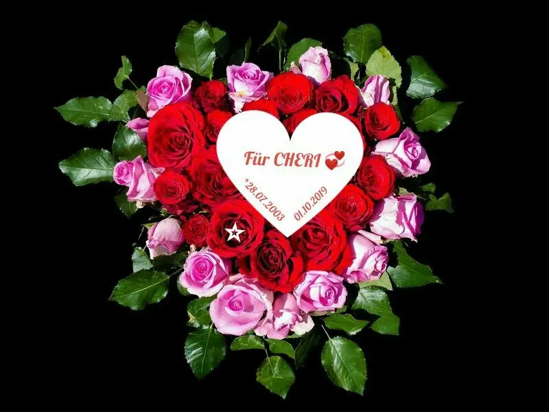 Condolence image of Für DICH Mein kleiner Engel CHERI ⭐