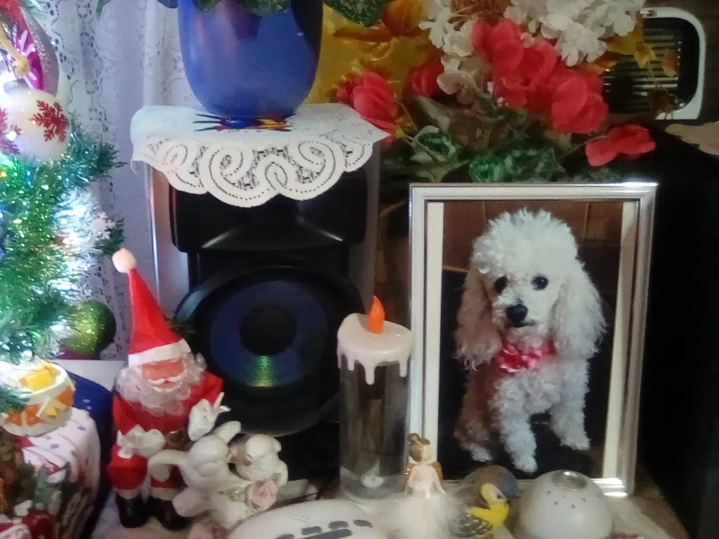 Condolence image of Angela für meine kleine Geliebte Mädchen CHERI ❤✨