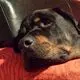 Image from Spike