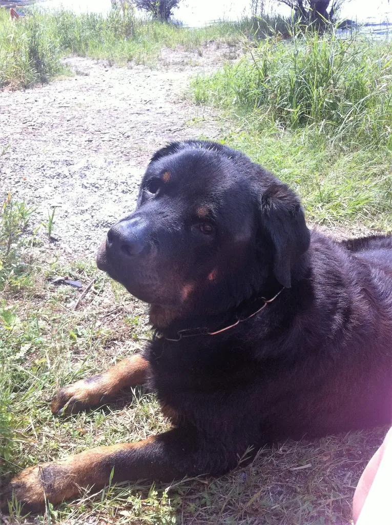 Image from Spike