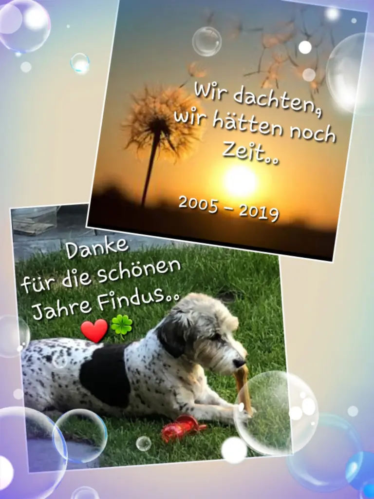 Image from Findus 