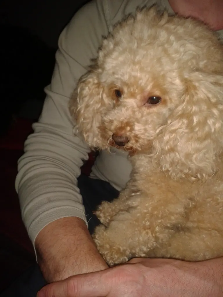Image from Josie