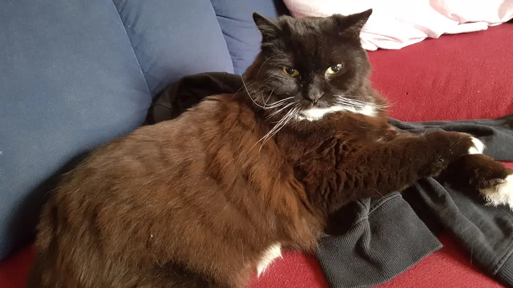 Condolence image of René & Skye