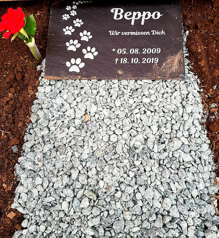 Image from Beppo