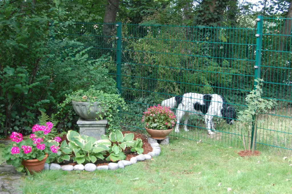 Condolence image of Annette