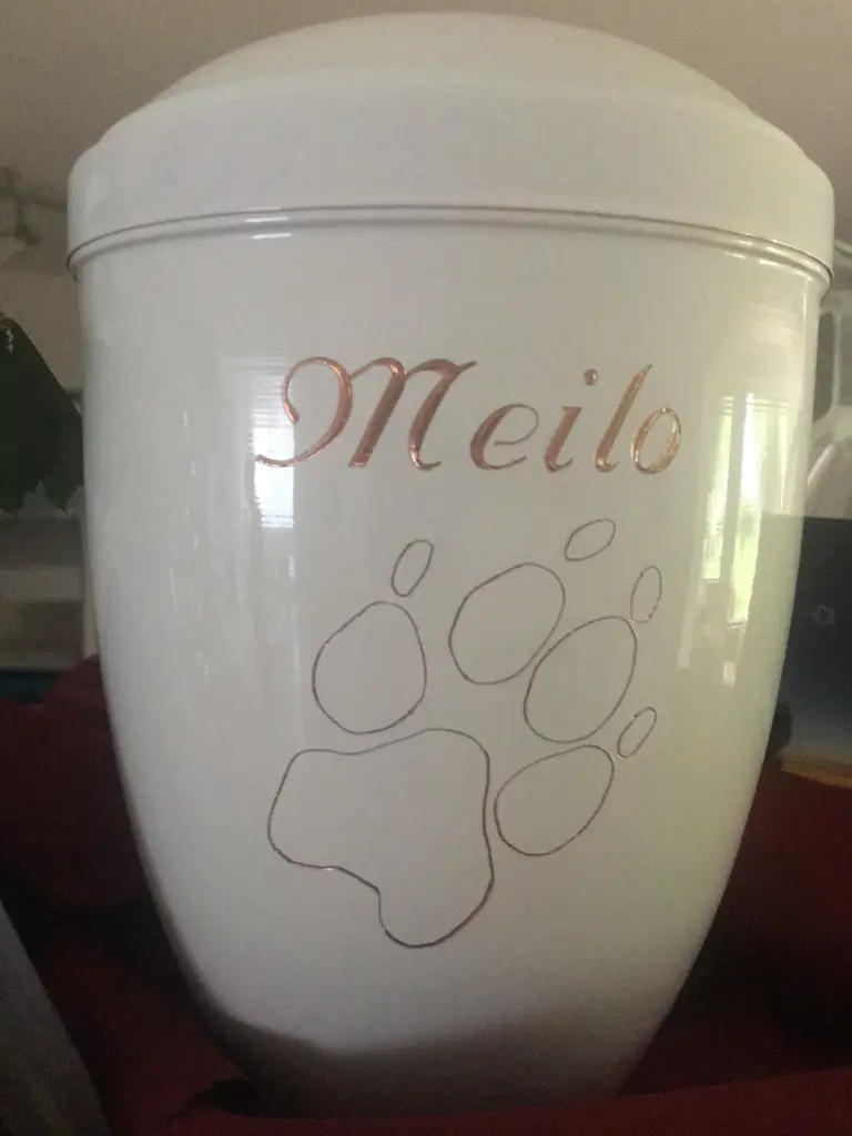 Image from Meilo
