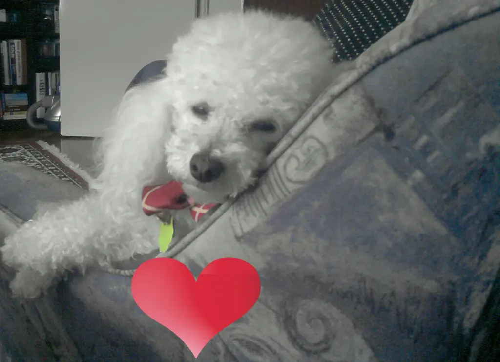 Condolence image of Angela
