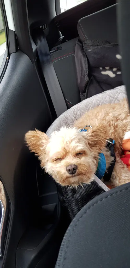 Andachtsbild von Martin Mellen