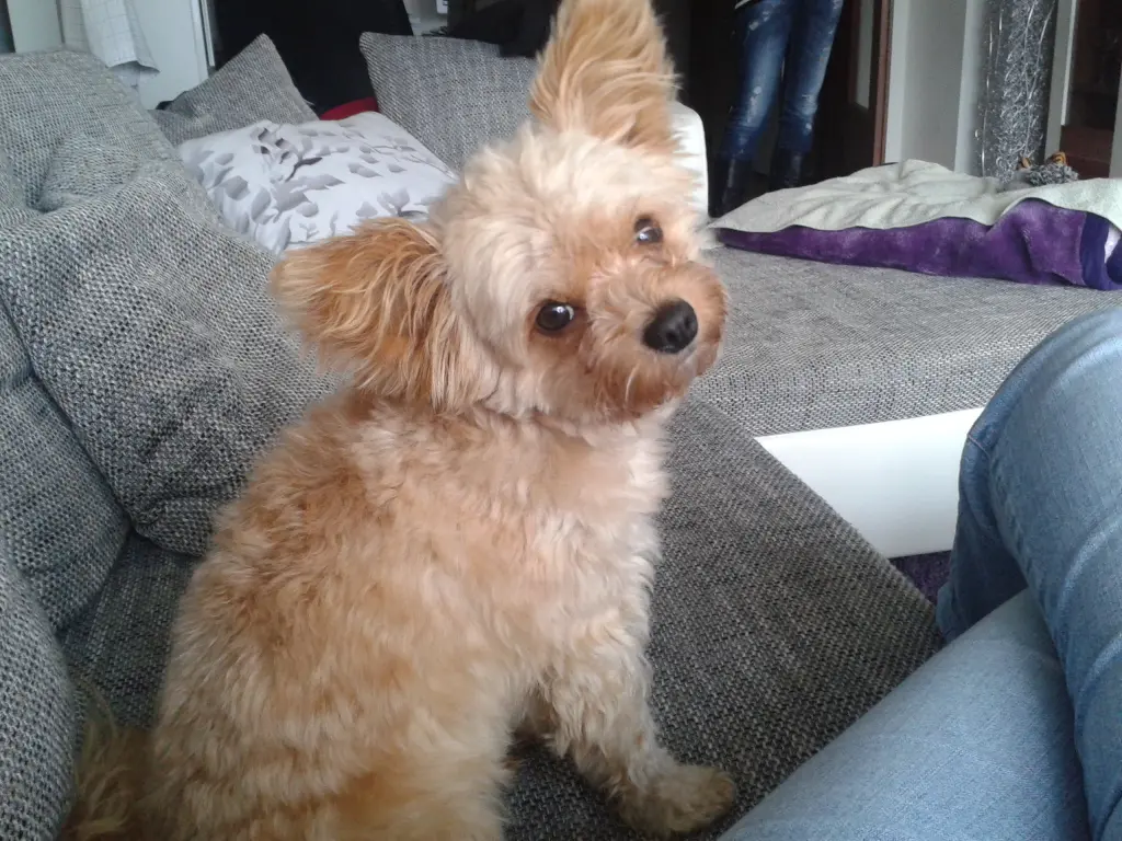 Condolence image of Ute