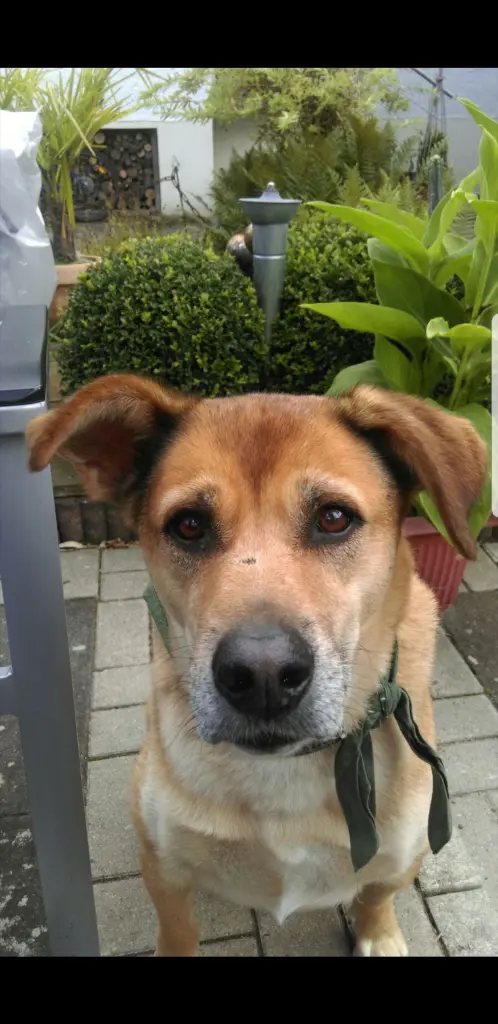 Image from Rusty