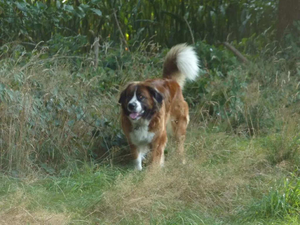 Condolence image of Maren