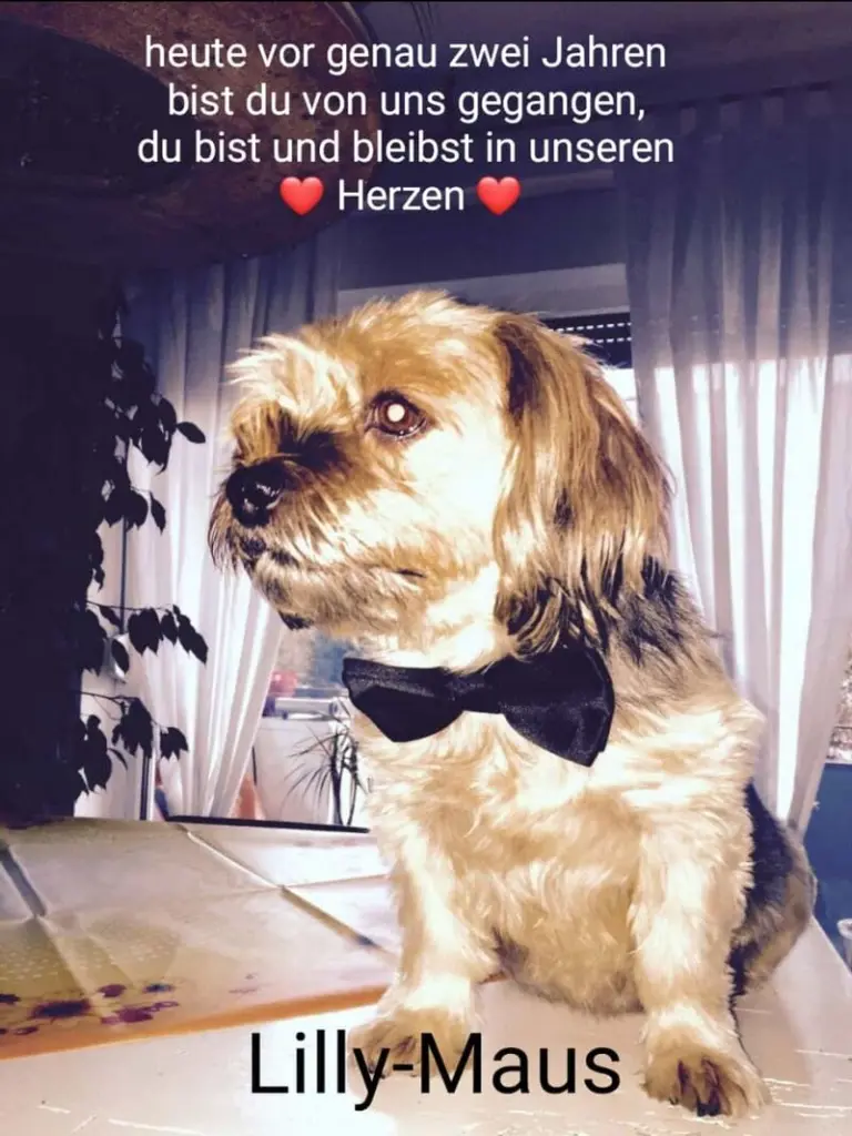 Condolence image of Unbekannt