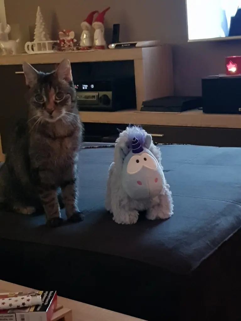 Image from Pepper