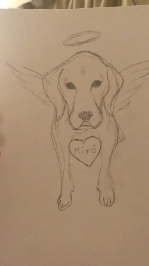 Condolence image of Unbekannt