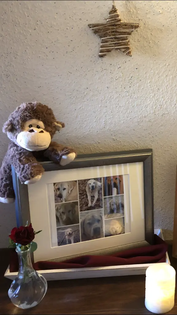 Condolence image of Unbekannt