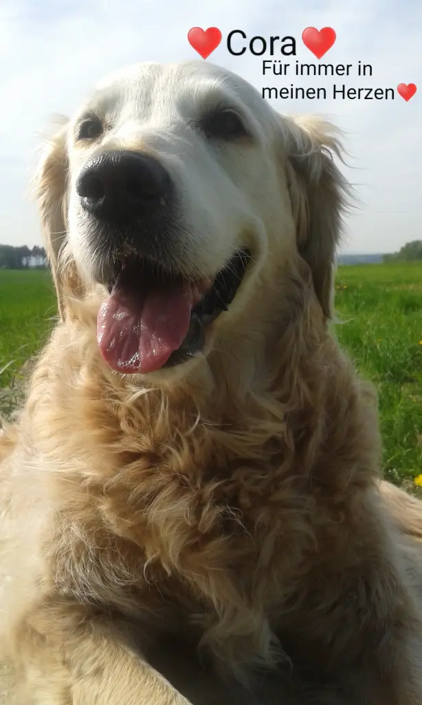 Andachtsbild von Unbekannt