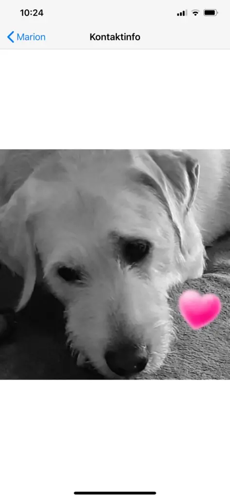 Condolence image of Marion