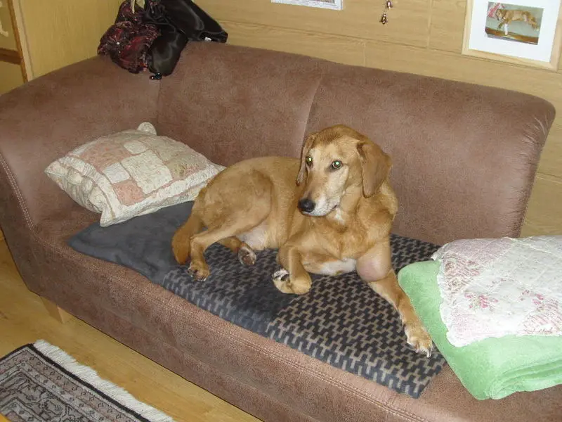 Andachtsbild von Marlies mit Pietsch im Herzen