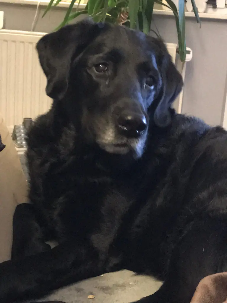 Andachtsbild von Silvia Voß